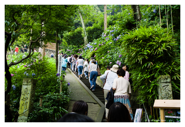 Hase-Dera Temple Kamamura - Walking up to the mountain.