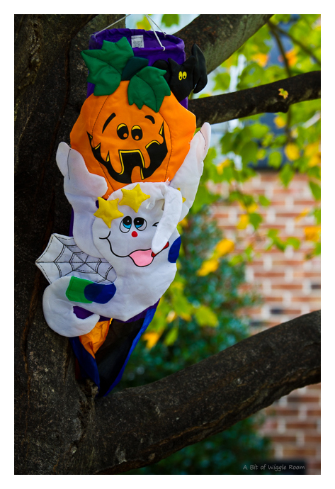 Halloween Decorating Item - Boo!